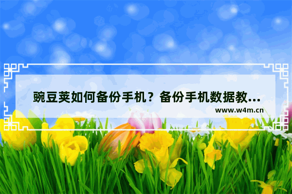 豌豆荚如何备份手机？备份手机数据教程分享