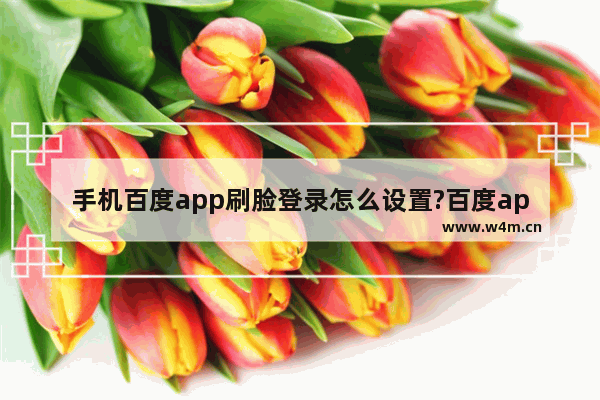 手机百度app刷脸登录怎么设置?百度app刷脸登录方法介绍