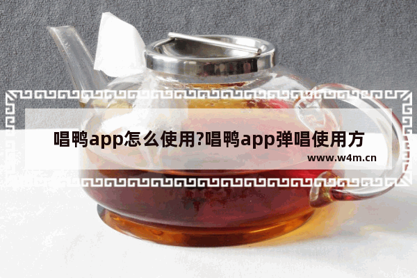 唱鸭app怎么使用?唱鸭app弹唱使用方法介绍