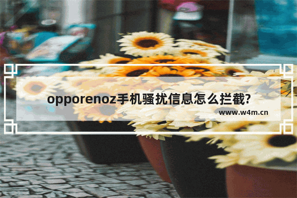 opporenoz手机骚扰信息怎么拦截?骚扰信息拦截方法教程