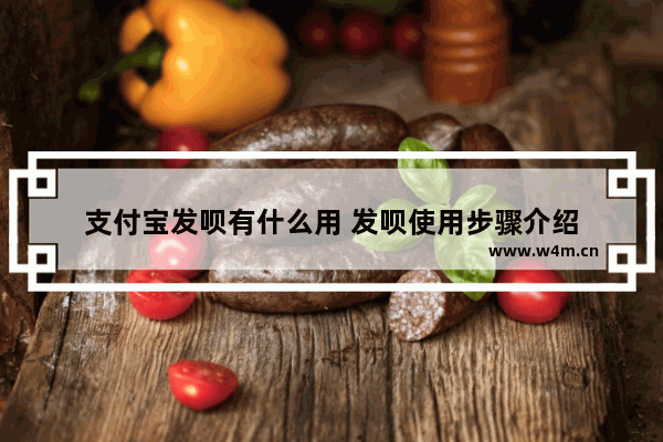 支付宝发呗有什么用 发呗使用步骤介绍