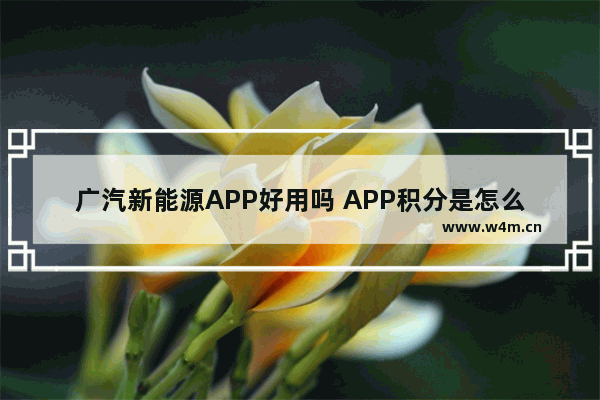 广汽新能源APP好用吗 APP积分是怎么回事