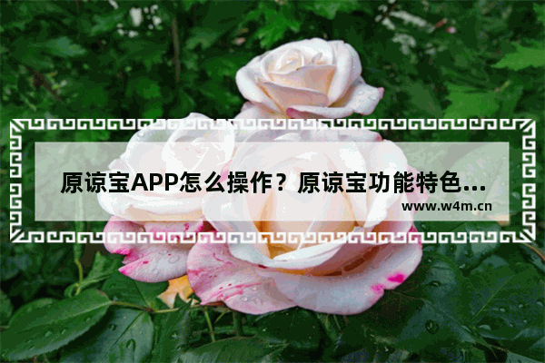 原谅宝APP怎么操作？原谅宝功能特色一览