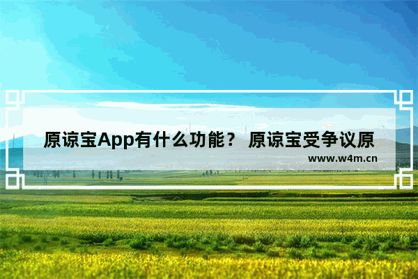 原谅宝App有什么功能？ 原谅宝受争议原因一览