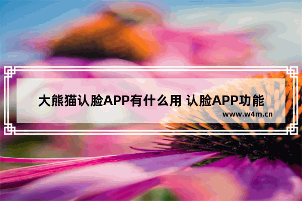 大熊猫认脸APP有什么用 认脸APP功能一览