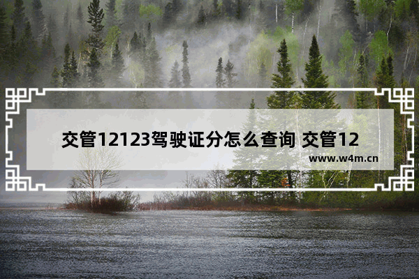 交管12123驾驶证分怎么查询 交管12123查询驾驶证分攻略