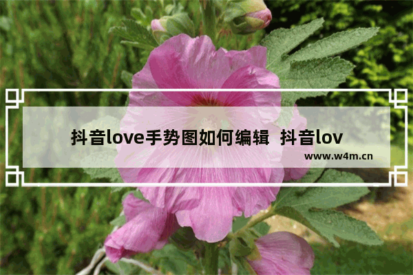 抖音love手势图如何编辑  抖音love手势图编辑教程