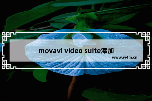 movavi video suite添加字幕的教程