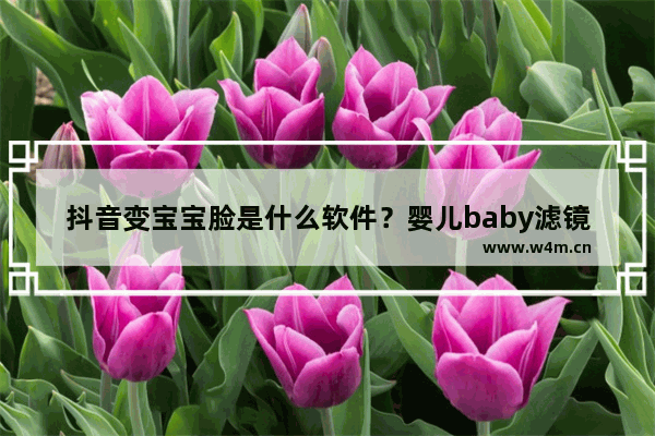 抖音变宝宝脸是什么软件？婴儿baby滤镜使用方法