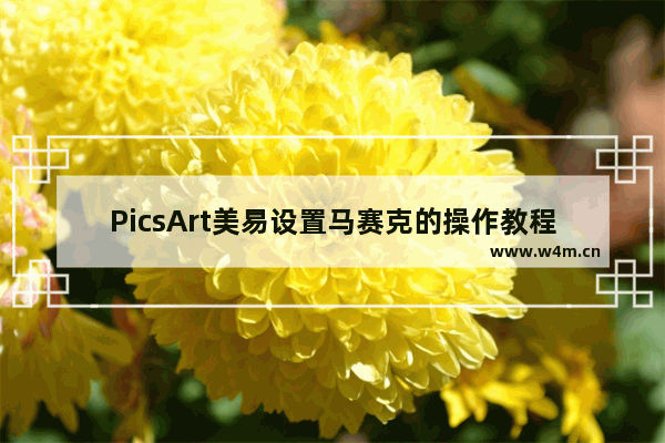 PicsArt美易设置马赛克的操作教程