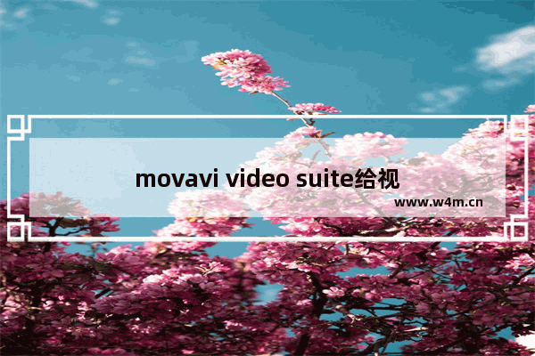 movavi video suite给视频添加转场的教程