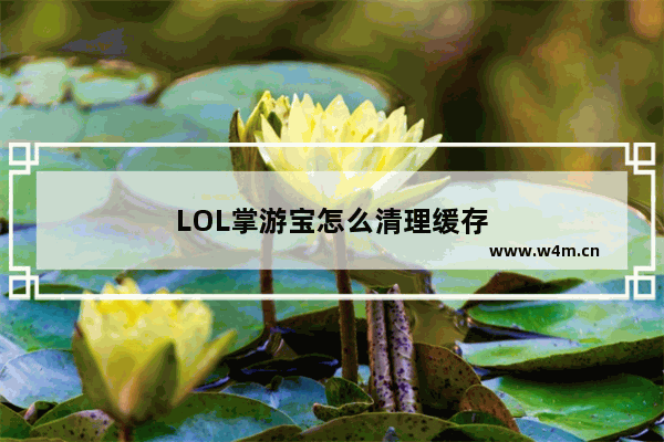 LOL掌游宝怎么清理缓存