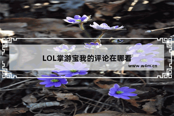 LOL掌游宝我的评论在哪看