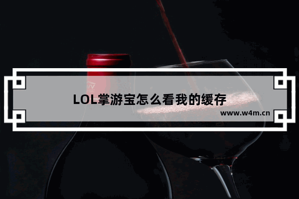 LOL掌游宝怎么看我的缓存