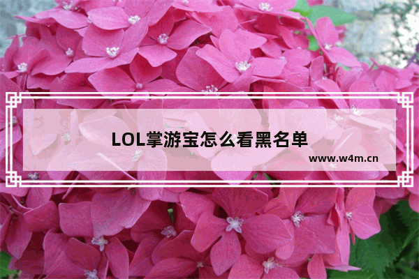 LOL掌游宝怎么看黑名单