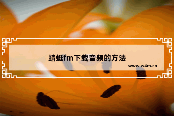 蜻蜓fm下载音频的方法