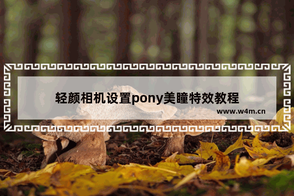 轻颜相机设置pony美瞳特效教程