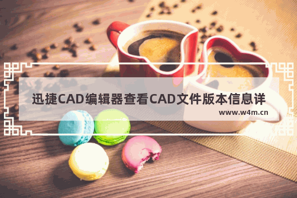 迅捷CAD编辑器查看CAD文件版本信息详细操作内容介绍