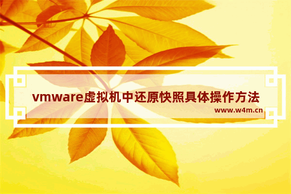 vmware虚拟机中还原快照具体操作方法