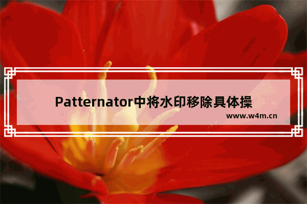 Patternator中将水印移除具体操作方法