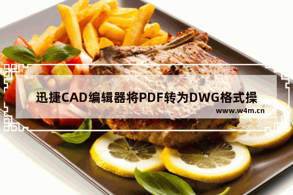 迅捷CAD编辑器将PDF转为DWG格式操作流程