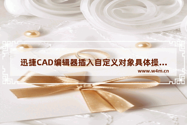 迅捷CAD编辑器插入自定义对象具体操作流程