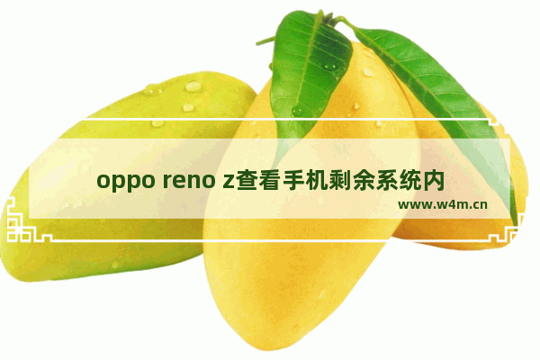 oppo reno z查看手机剩余系统内存详细操作方法