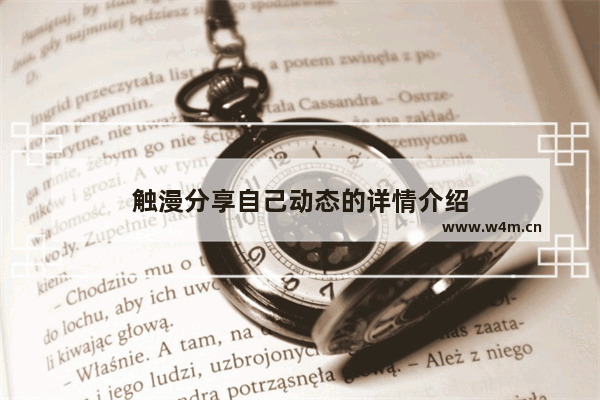 触漫分享自己动态的详情介绍