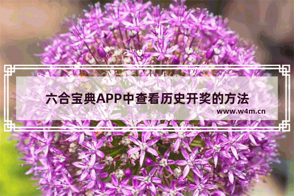 六合宝典APP中查看历史开奖的方法