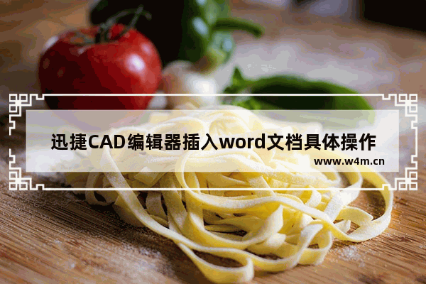 迅捷CAD编辑器插入word文档具体操作方法