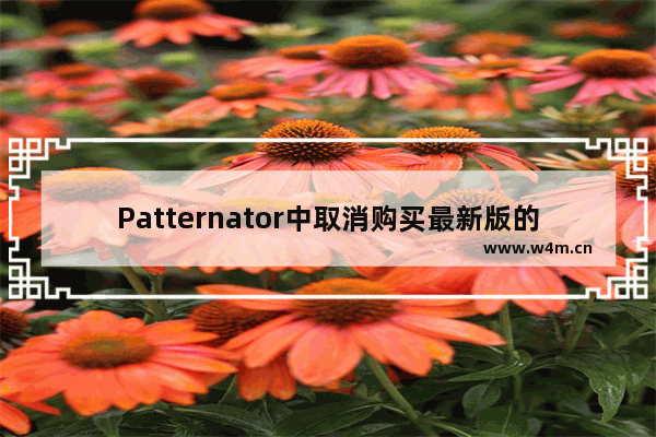 Patternator中取消购买最新版的方法