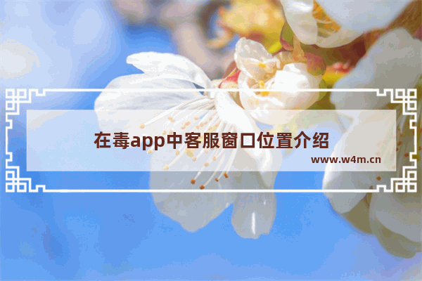 在毒app中客服窗口位置介绍