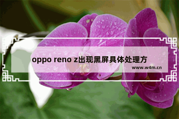 oppo reno z出现黑屏具体处理方法