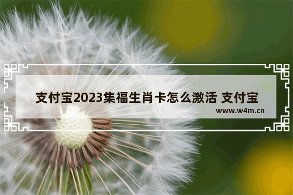 支付宝2023集福生肖卡怎么激活 支付宝生肖卡激活方法