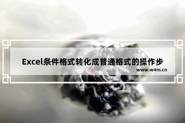 Excel条件格式转化成普通格式的操作步骤