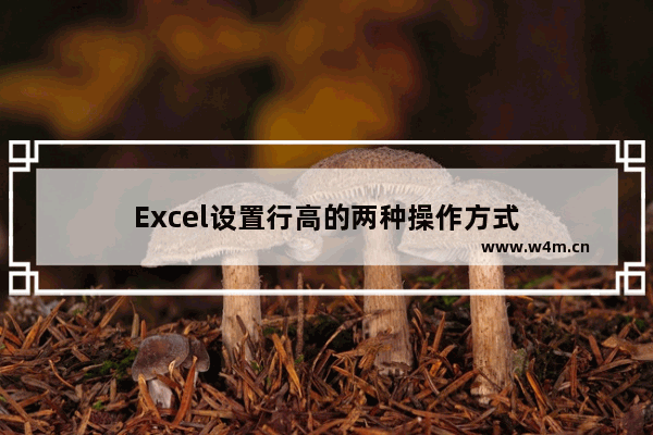 Excel设置行高的两种操作方式