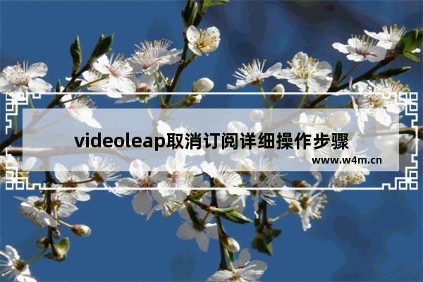 videoleap取消订阅详细操作步骤