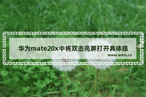 华为mate20x中将双击亮屏打开具体操作方法