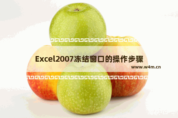 Excel2007冻结窗口的操作步骤