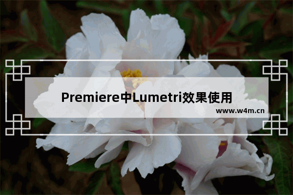 Premiere中Lumetri效果使用操作方法