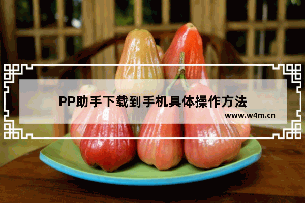 PP助手下载到手机具体操作方法