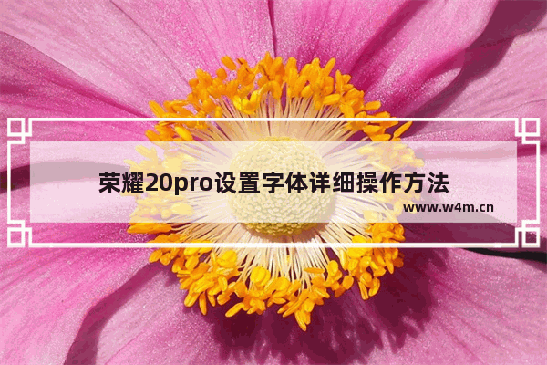 荣耀20pro设置字体详细操作方法