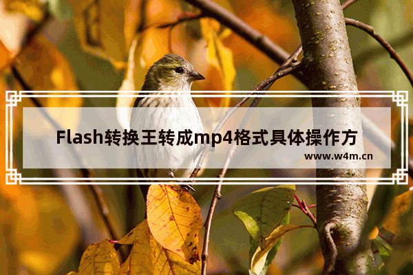 Flash转换王转成mp4格式具体操作方法