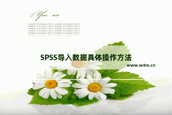 SPSS导入数据具体操作方法