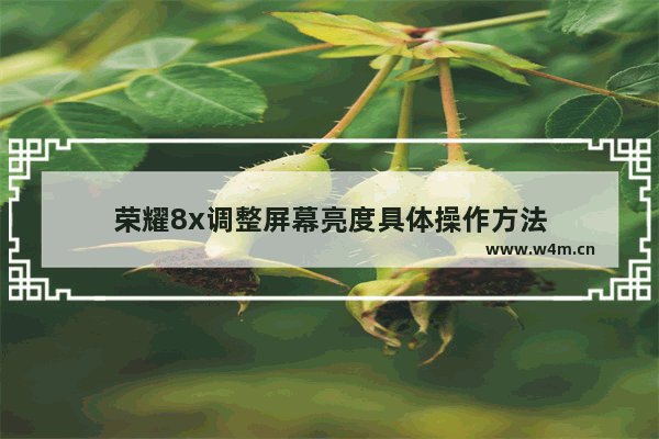 荣耀8x调整屏幕亮度具体操作方法