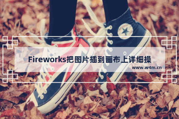 Fireworks把图片插到画布上详细操作