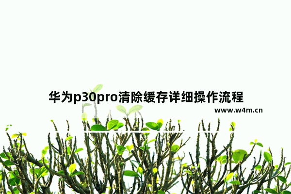 华为p30pro清除缓存详细操作流程