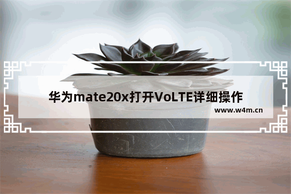 华为mate20x打开VoLTE详细操作方法