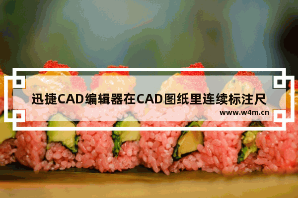 迅捷CAD编辑器在CAD图纸里连续标注尺寸的方法