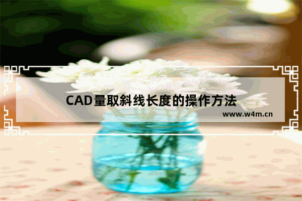 CAD量取斜线长度的操作方法